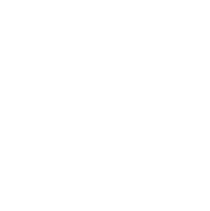 Alt. Inc. Icon. White Alt. Inc. Icon. White