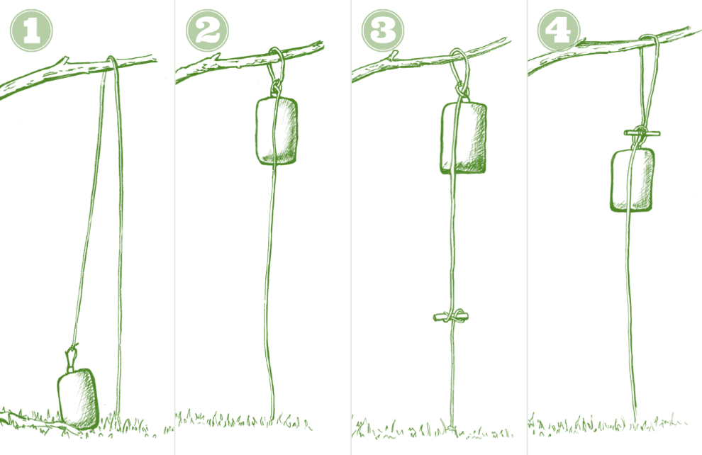 Pic1 Pic1